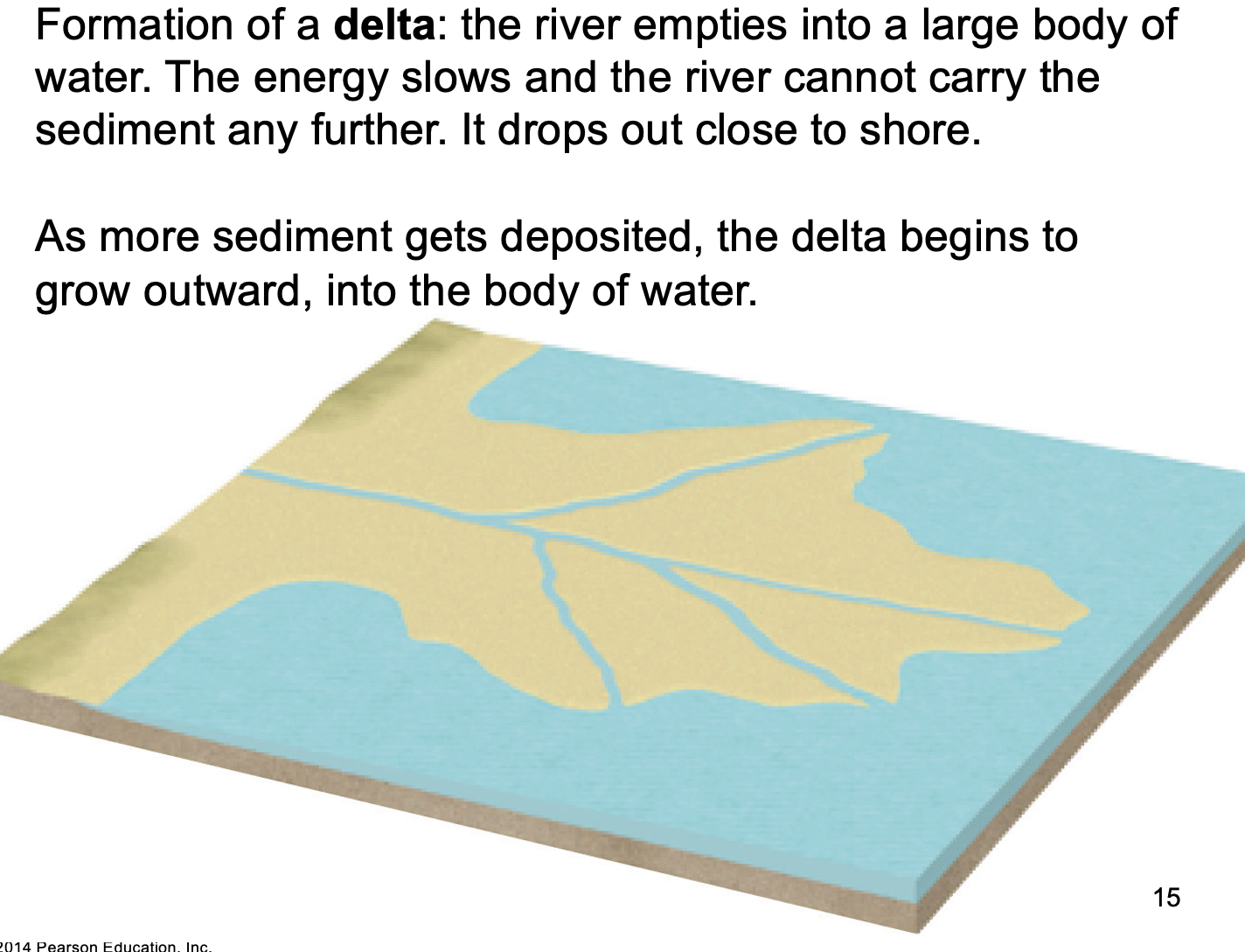 <p>At the end of a river, if it flows into a body of water what forms?</p>