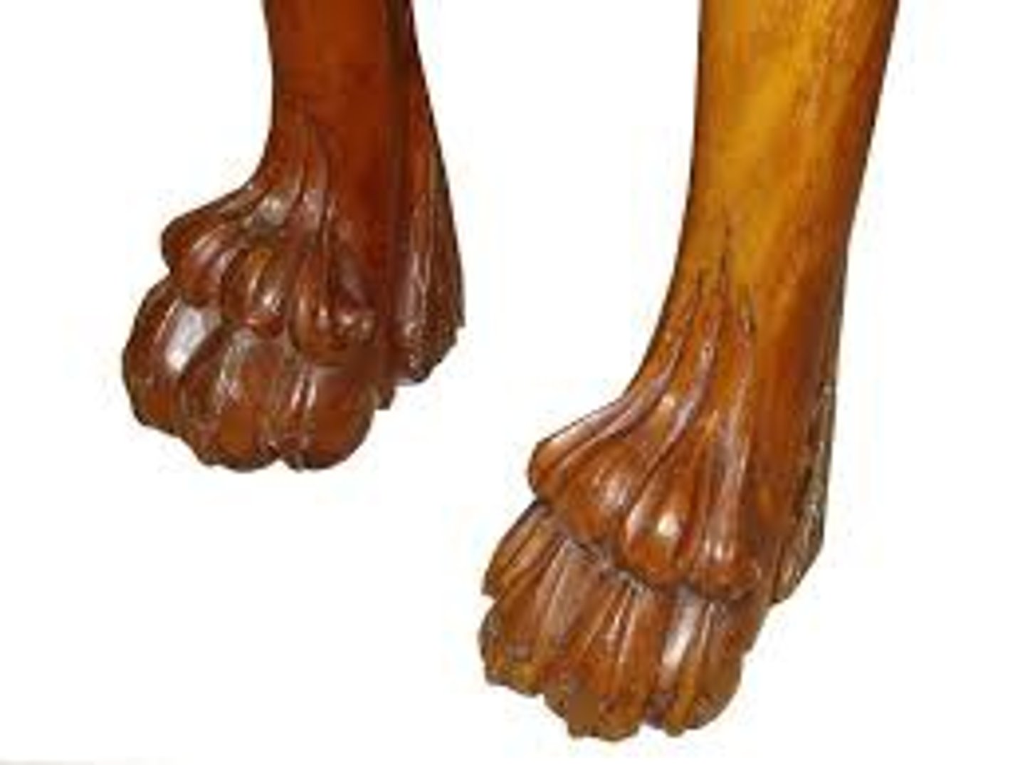<p>What is this type of foot?</p>