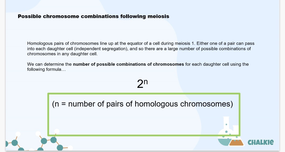 <p>Possible chromosome combinations following meiosis:</p><p>We can determine the number of possible combinations of chromosomes for each daughter cell using the following formula...1?</p><p>Possible chromosome combinations following sexual reproduction:</p><p>Genetic variation is also further increased through the random pairing of male and female …2? during sexual reproduction. Again, we can calculate the number of possible combinations of chromosomes in the offspring produced using the …3?</p><p></p><ol start="4"><li><p>State 2 reasons why genetic variation may be an advantage to a species?</p></li></ol><p></p>