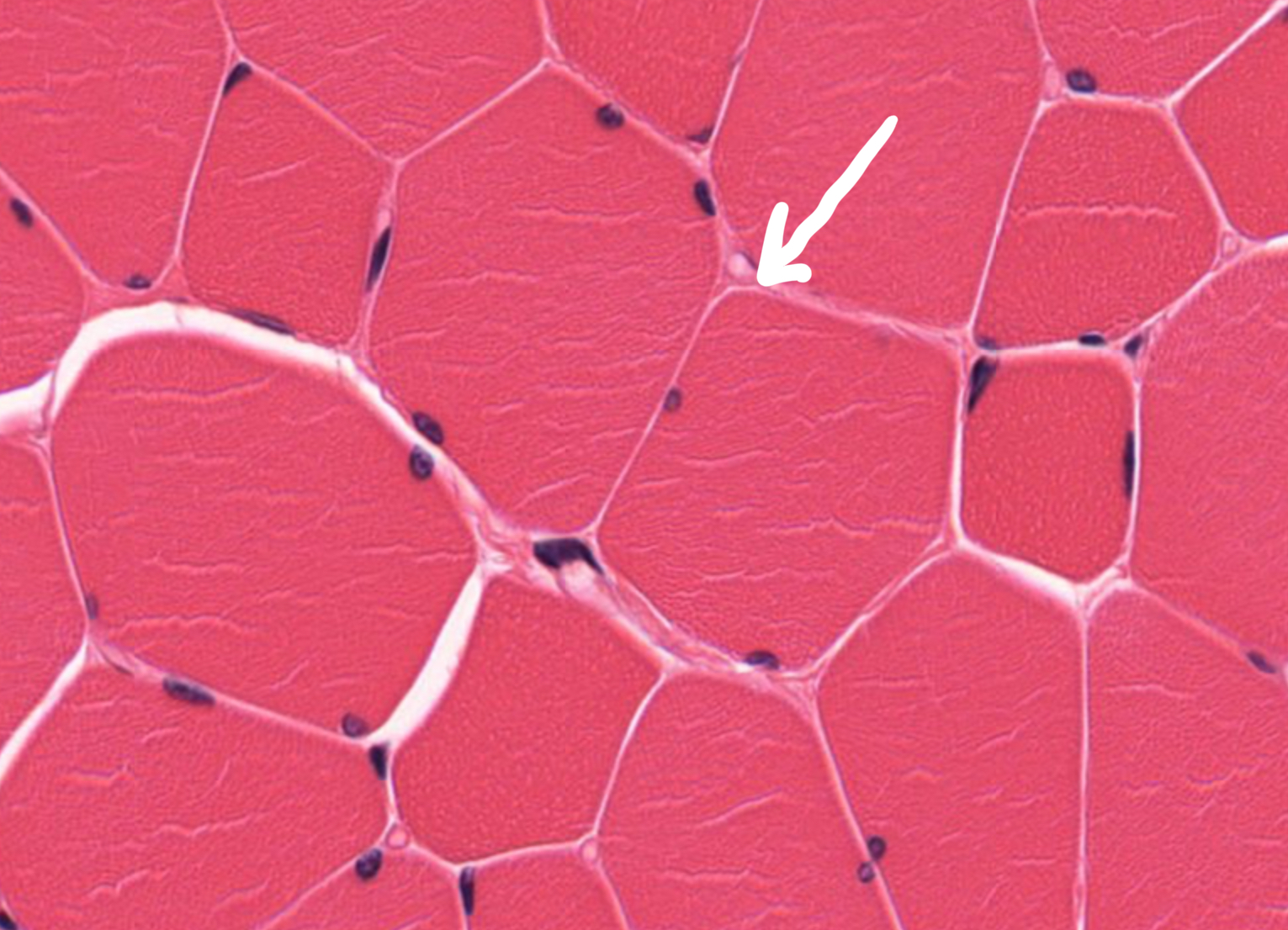 <p>What is this </p>