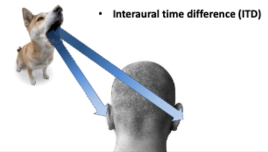 <p>The difference in timing of when sound reaches each ear.</p>