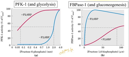 b) increases >100x