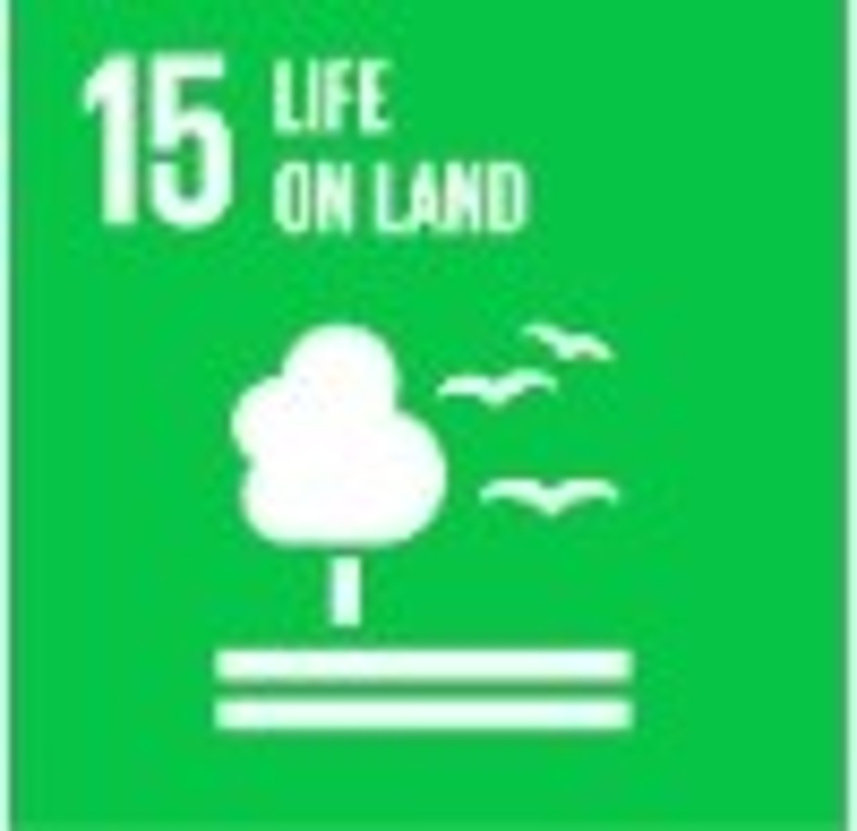 <p>To protect, restore, and promote sustainable use of terrestrial ecosystems, sustainably manage forests, combat desertification, and halt and reverse land degradation and halt biodiversity loss.</p>