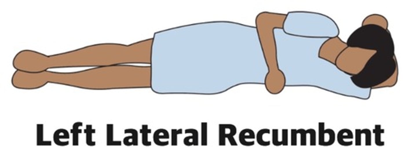 <p>Left lateral recumbent decubitus (echo)</p>