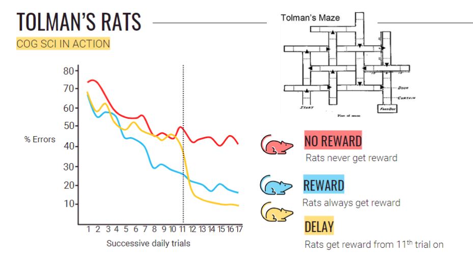 <p>(behaviorism) <span style="font-family: Arial, sans-serif">1937 experiment that <mark data-color="yellow">proved mental content/representations</mark> and f</span>orced behaviorists to <mark data-color="yellow">acknowledge mental content exists</mark></p><ul><li><p><span style="font-family: Arial, sans-serif">Put three groups of rats in a maze for 2.5 weeks</span></p><ul><li><p><span style="font-family: Arial, sans-serif"><mark data-color="red">First group got rewards every day</mark></span></p><ul><li><p><span style="font-family: Arial, sans-serif"><mark data-color="green">Significant improvement in learning</mark> (70% error rate to 20% error rate)</span></p></li></ul></li><li><p><span style="font-family: Arial, sans-serif"><mark data-color="red">Second group didn't get rewards on the first week and did get rewards on the second week</mark></span></p><ul><li><p><span style="font-family: Arial, sans-serif"><mark data-color="purple">Sharp drop in mistakes on day 11</mark></span></p></li><li><p><span style="font-family: Arial, sans-serif">Best performance out of all the rat groups</span></p></li><li><p><span style="font-family: Arial, sans-serif">Indicates that the <mark data-color="purple">rat was learning its way around the maze without needing to be rewarded until the middle</mark></span></p></li><li><p><span style="font-family: Arial, sans-serif"><mark data-color="purple">Proved that the </mark></span><strong><em><span style="font-family: Arial, sans-serif"><mark data-color="purple">stimulus response is not the only way that learning happens</mark></span></em></strong></p></li></ul></li><li><p><span style="font-family: Arial, sans-serif"><mark data-color="red">Third group didn’t get rewards at all</mark></span></p><ul><li><p><span style="font-family: Arial, sans-serif"><mark data-color="green">Rats barely improve/learn </mark>(75% error rate to 50% error rate)</span></p></li></ul></li></ul></li></ul>