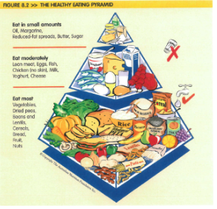 <p>healthy eating pyramid</p>