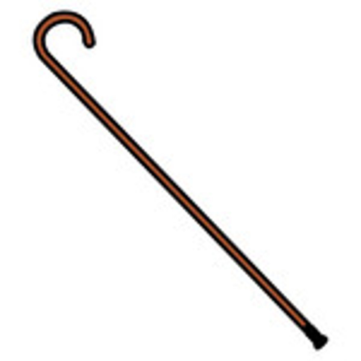<p>The cane</p>
