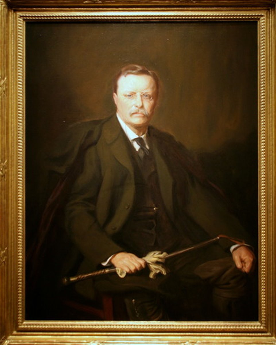 <p>26th U.S. President. 1901-1909. Republican</p>