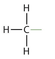 <p>Structural Formula: a carbon atom bonded to three hydrogen atoms (−CH3). </p><p>Properties: non polar (hydrophobic), often preventing hydrogen bonding. </p><p>Examples: methane, many fatty acids.</p>
