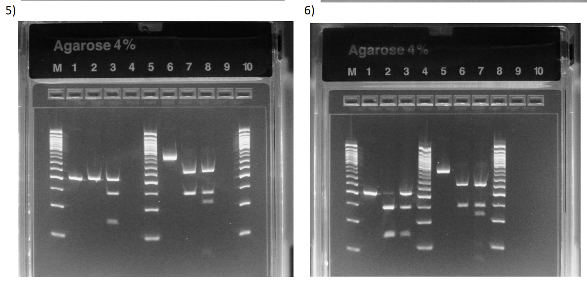<p>what is each lane? they sick?</p>