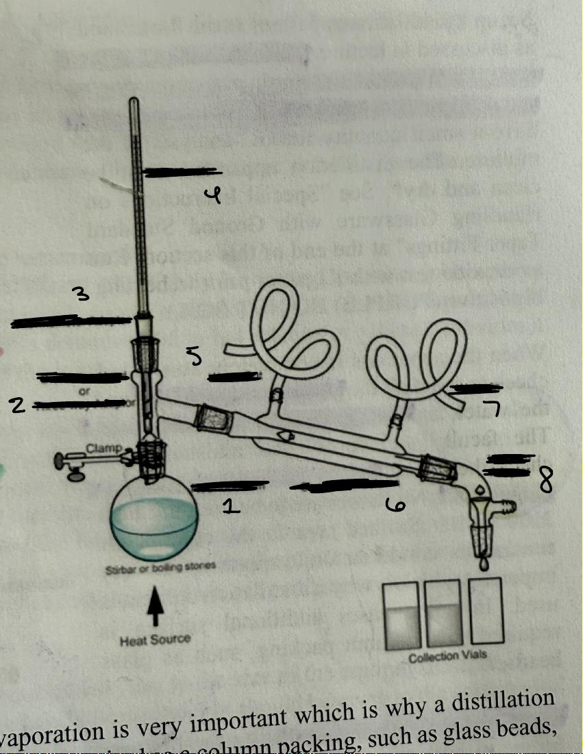 <p>7</p>
