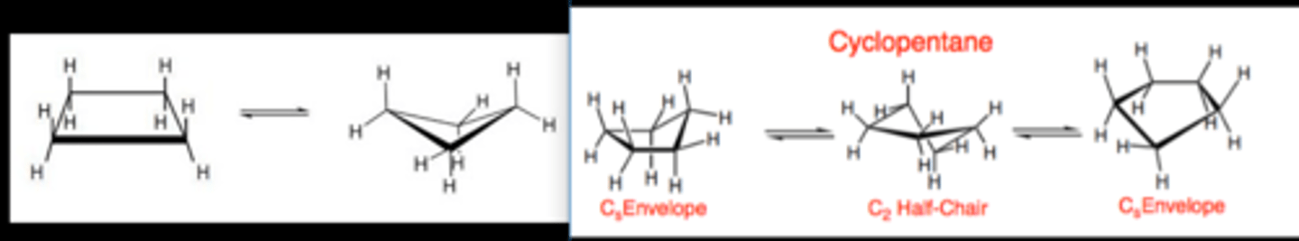 <p>Cyclobutane on left, Cyclopentane on right.</p>