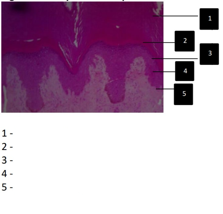 <p>Label all parts</p>