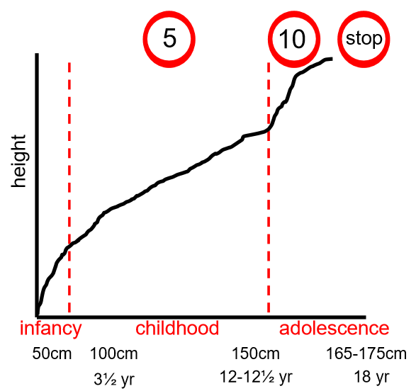 <ul><li><p>growth is genetically determined</p></li><li><p>nutrition, health and growth hormone determine growth </p></li><li><p>rate of growth varies with age </p></li><li><p>in utero has fastest rate of growth </p></li><li><p>rapid period of growth during infancy </p></li><li><p>all growth depends on coordinated cellular function </p></li></ul><p></p>