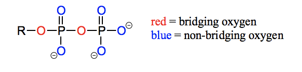 <p>Oxygen atoms in phosphate groups are referred to as wither bridging or non-bridging depending on their position. An organic diphosphate has two bridging oxygens (one in the phosphate ester linkage and one in the phosphate anhydride linkage) and five non-bridging oxygens:</p>