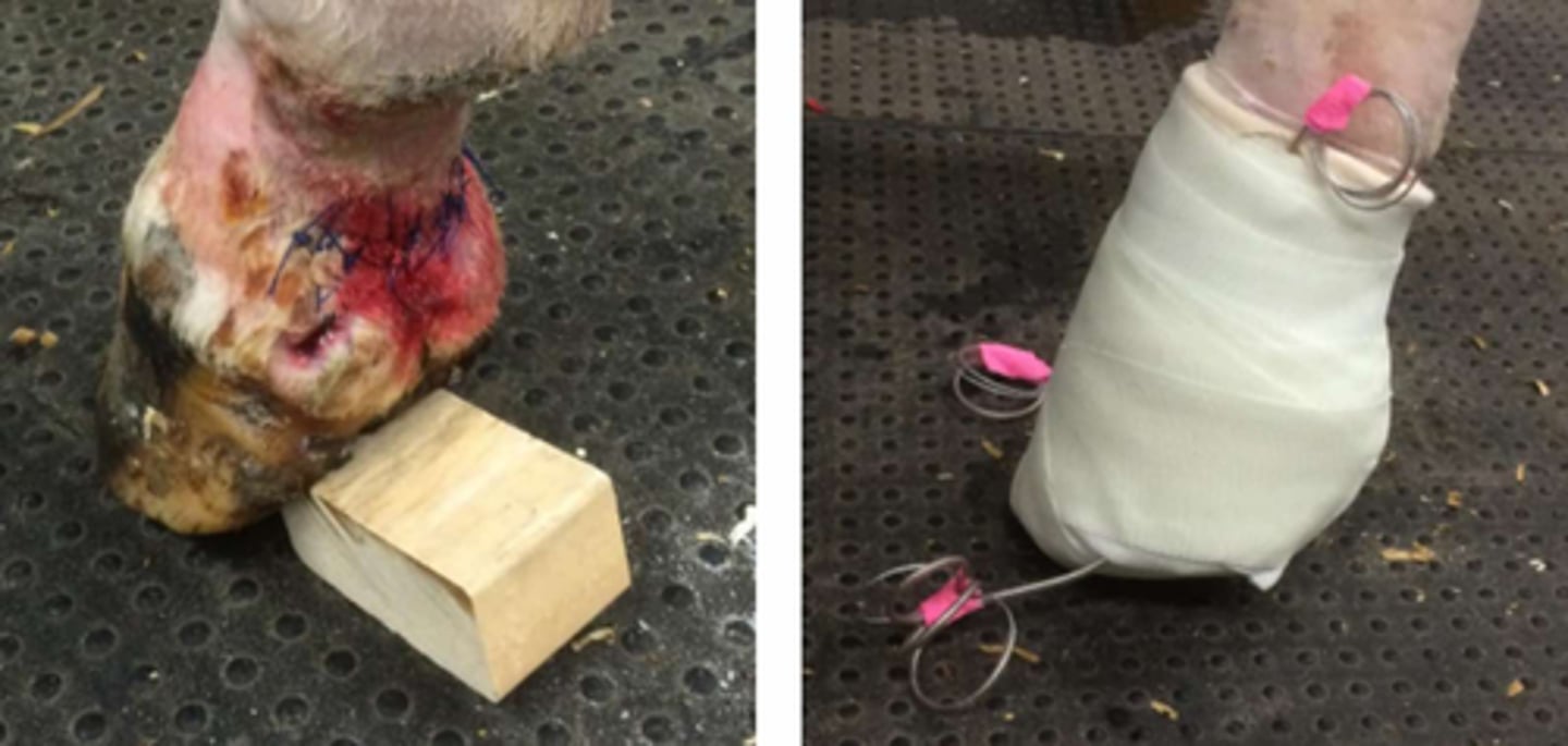 <p>What is shown here?</p>