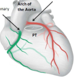<p>label the diagram </p>