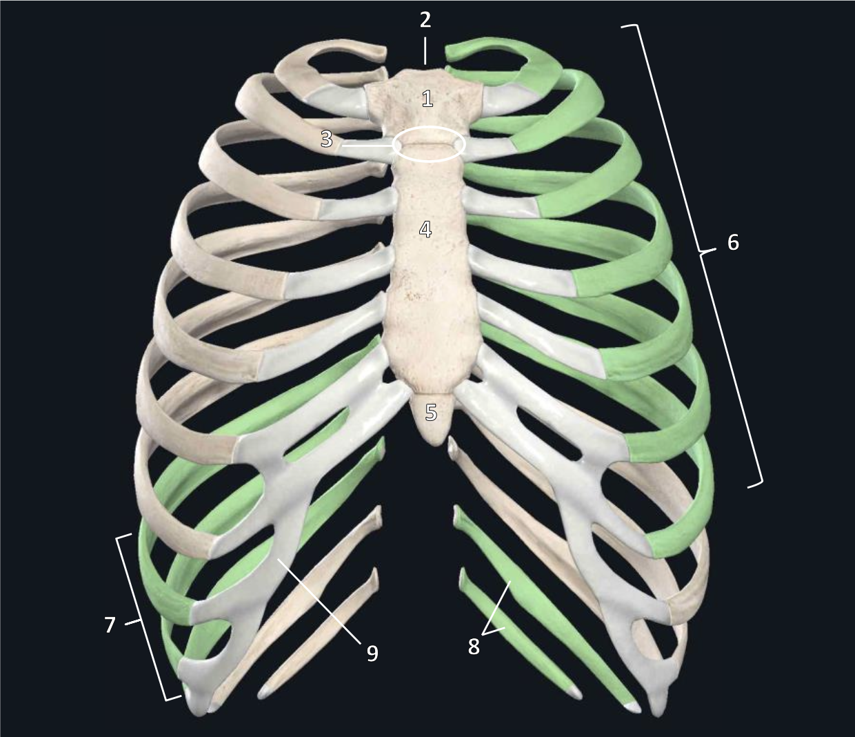 <p>2</p>