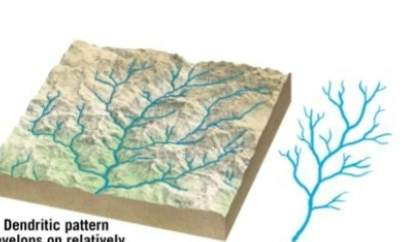 <p>develops on relatively uniform surface materials </p>