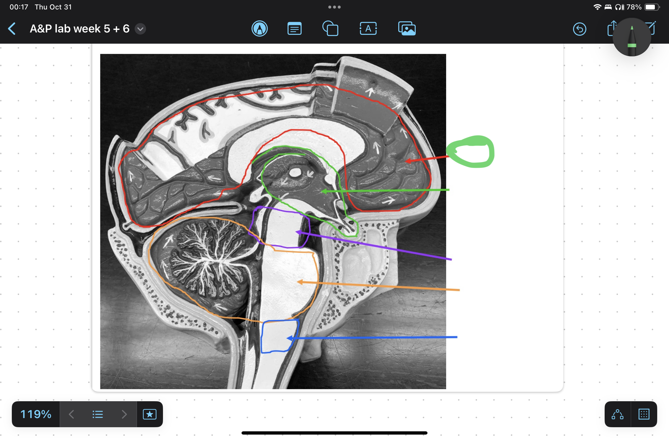 knowt flashcard image