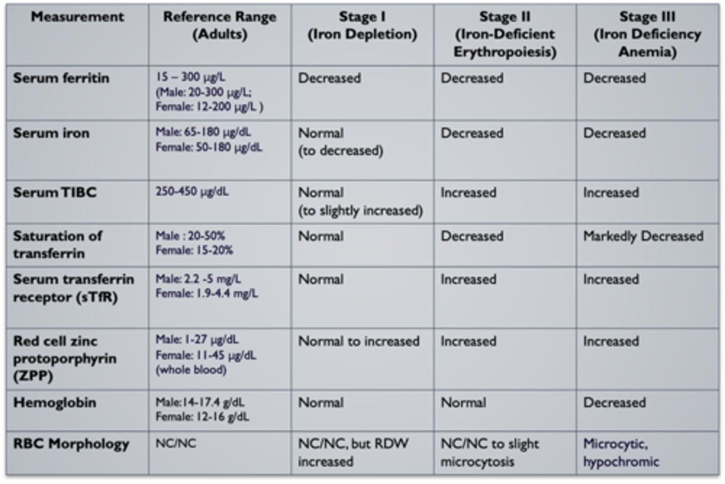 <p>- no iron storage pools<br>- hgb falls<br>- serum Fe= low<br>- Ferritin= low<br>- % trasnferrin saturation= low <br><br>- transferrin= high <br>- sTfR high<br>- ZPP build up</p>