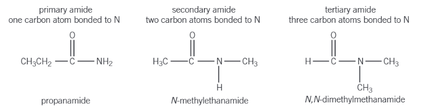 amide nomenclature