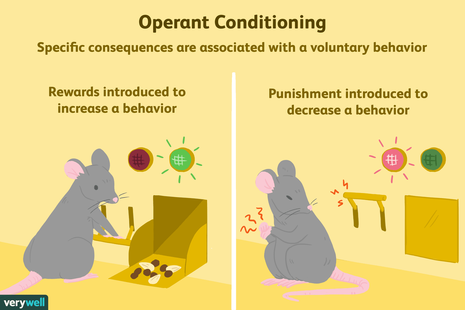 <p>(Behaviorism)</p><ul><li><p>Reinforced behavior</p></li><li><p>Reward good behavior and punish the bad.</p></li></ul><p><a target="_blank" rel="noopener noreferrer nofollow" class="link" href="https://www.verywellmind.com/b-f-skinner-biography-1904-1990-2795543#:~:text=ABCs%20of%20Behaviorism-,B.F.,ABCs%20of%20behaviorism%20were%20developed" download="true">https://www.verywellmind.com/b-f-skinner-biography-1904-1990-2795543#:~:text=ABCs%20of%20Behaviorism-,B.F.,ABCs%20of%20behaviorism%20were%20developed</a>.</p>