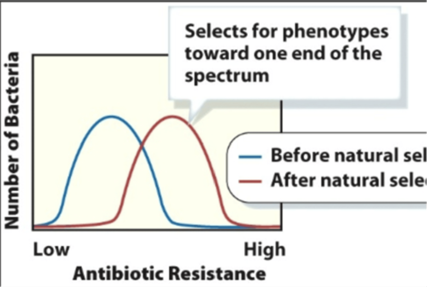 <p>antibiotic resistance in bacteria</p>