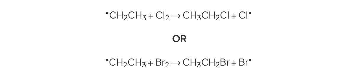 <ul><li><p>Alkyl radical reacts with halogen molecule</p></li><li><p>→ Halogenoalkane + chlorine radical</p></li></ul>