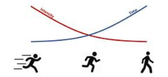 <p>Due to leg pain, I suggest reducing the … of your training. (frequency, rate)</p>