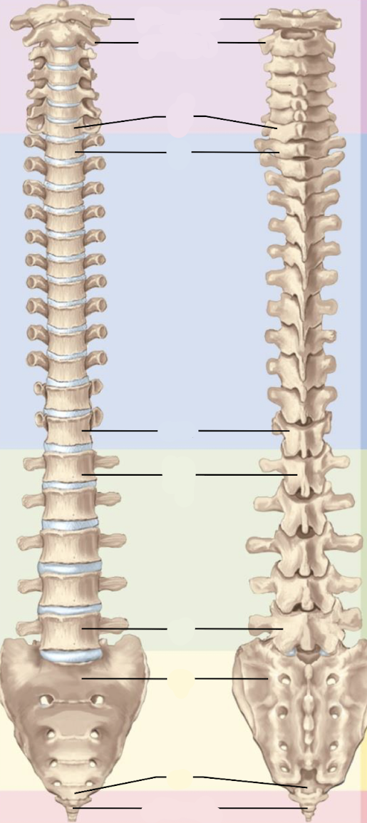 <p>what region is blue</p>