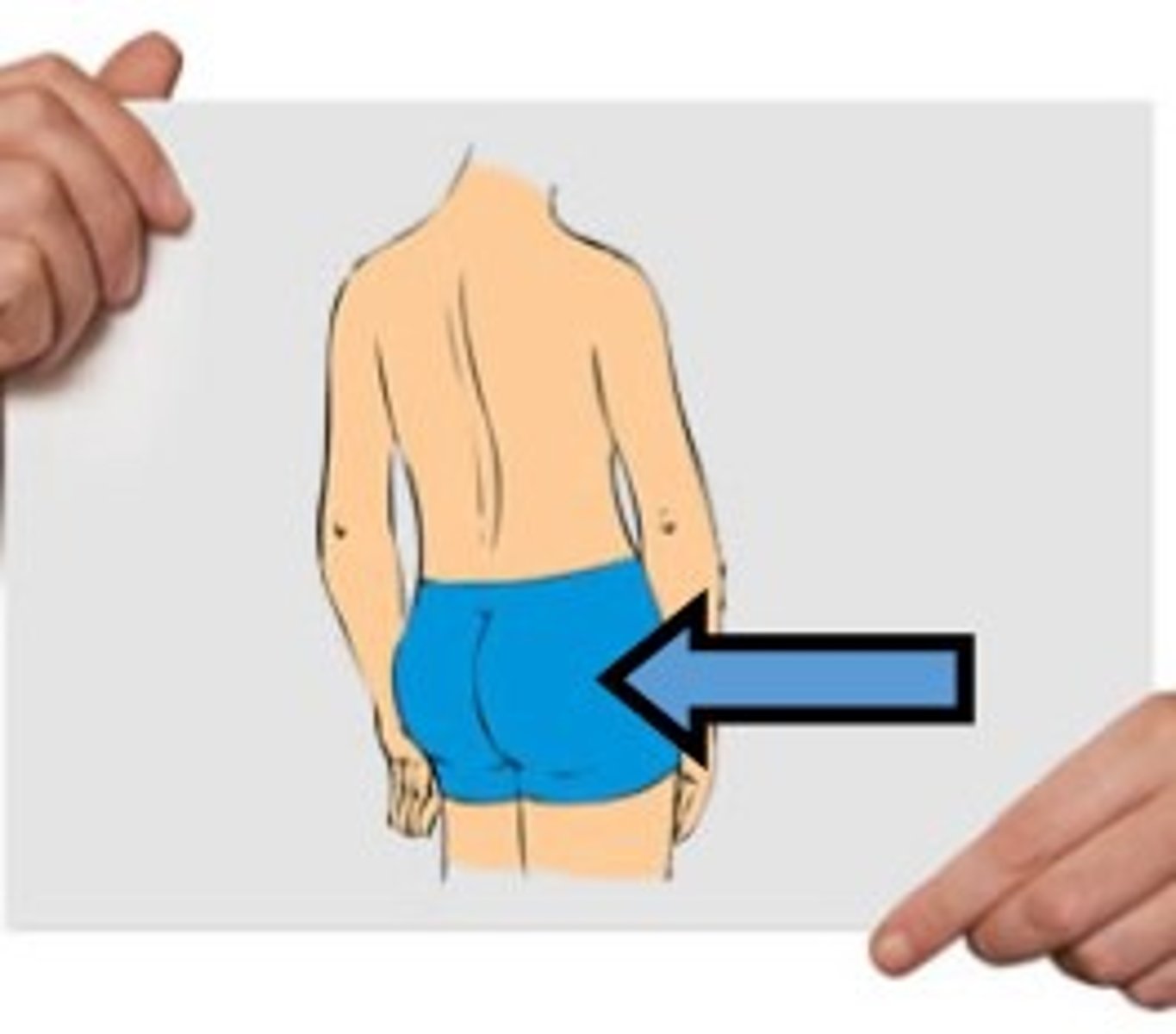 <p>bottom</p>