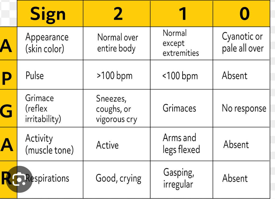 <p>Done at 1 min and 5 mins</p><ul><li><p>0-3= severe distress</p></li><li><p>4-6= moderate difficulty adjusting </p></li><li><p>7-10= good adjustment </p></li></ul><p></p>