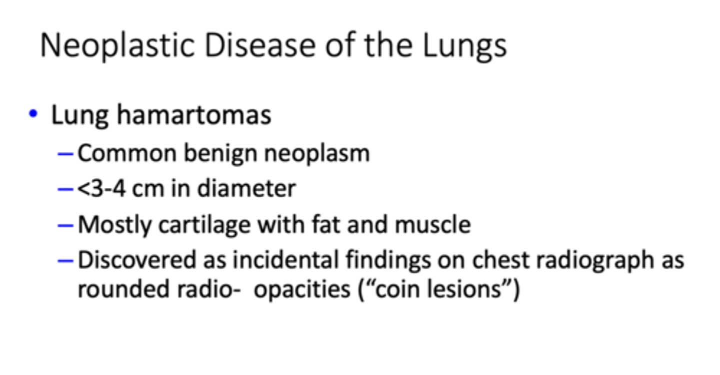 <p>Lung hamartomas</p>