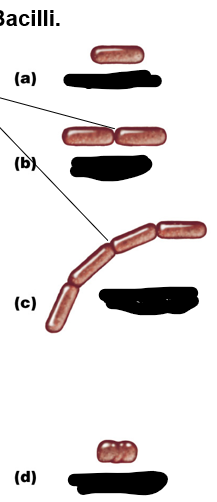 <p>From A to D</p>