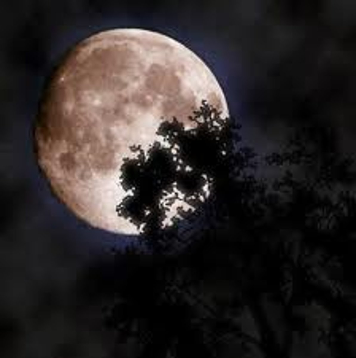 <p>moon</p>