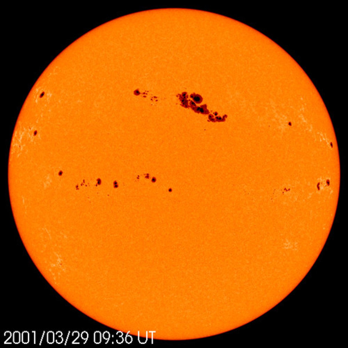 <p>- Darker regions with strong magnetic fields where convection is slightly inhibited near photosphere<br>- cooler than other parts of the Sun's surface<br>-Magnetic field in sun spots is about 1000x stronger than average<br>- come in pairs</p>