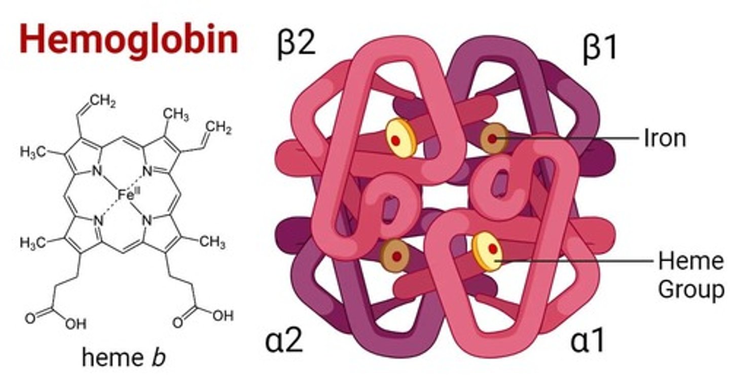 <p>98.5% O2 binds to hemoglobin.</p>