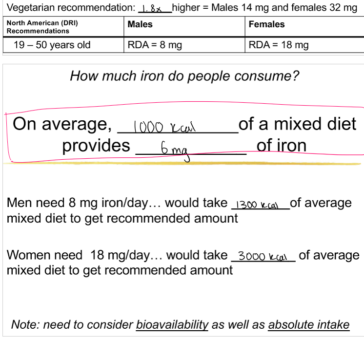 <p>how much needed:</p><p></p><p>dietary sources: liver, beef, pork, blood, dried beans fruits, iron fortified foods (cast iron), spinach </p><p></p><p>who is at risk: children, mothers</p><p></p><p>consequences: children’s learning, premature birth, maternal deaths, lowers productivity =  loss  of GDP</p><p></p><p>how can we detect: biochemical blood test etc, clinical pale conjunctiva </p>