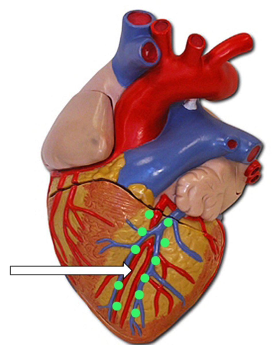 <p>name the structure</p>