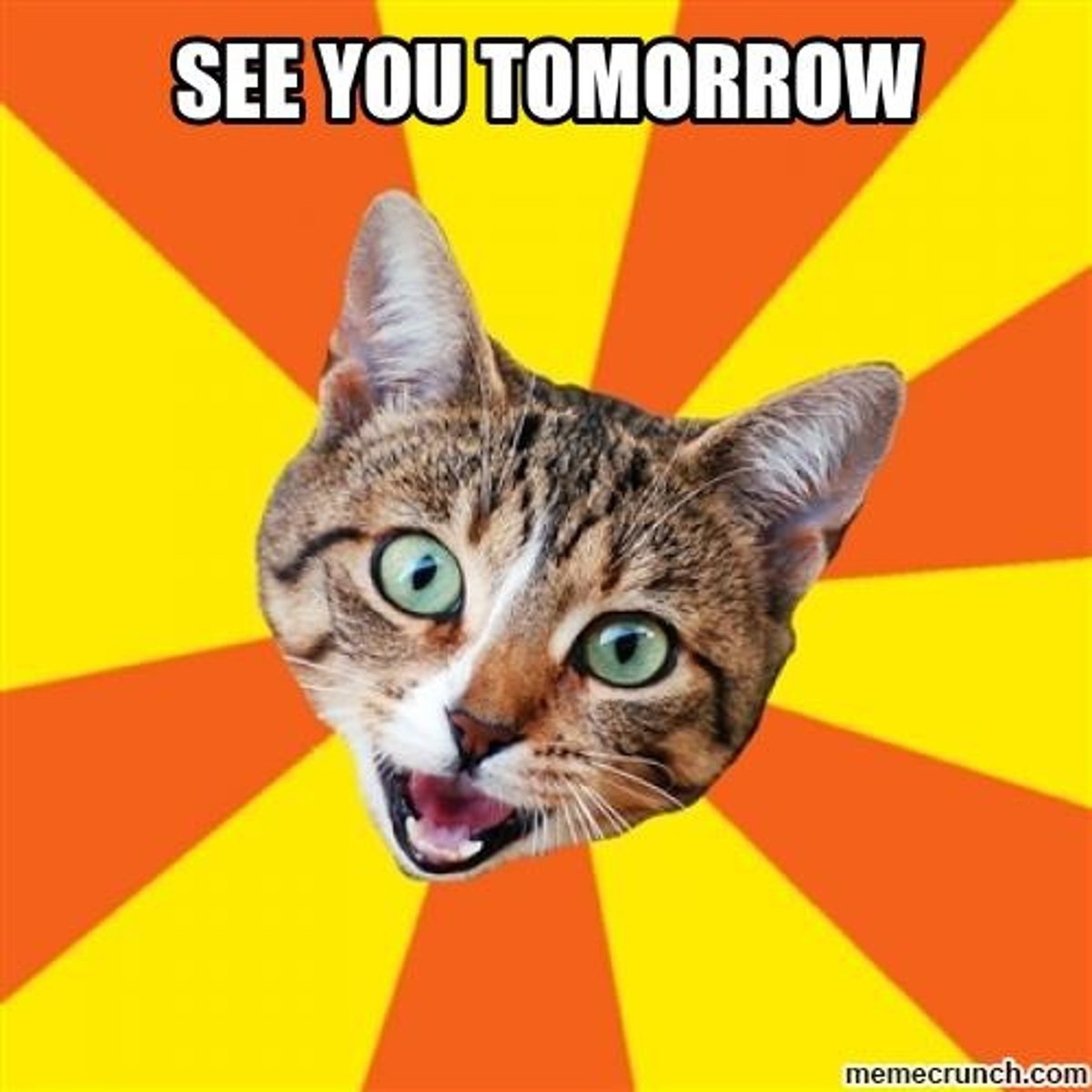 <p>See you tomorrow!</p>