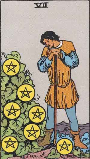 <p>7 of pentacles</p>