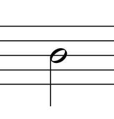 term image