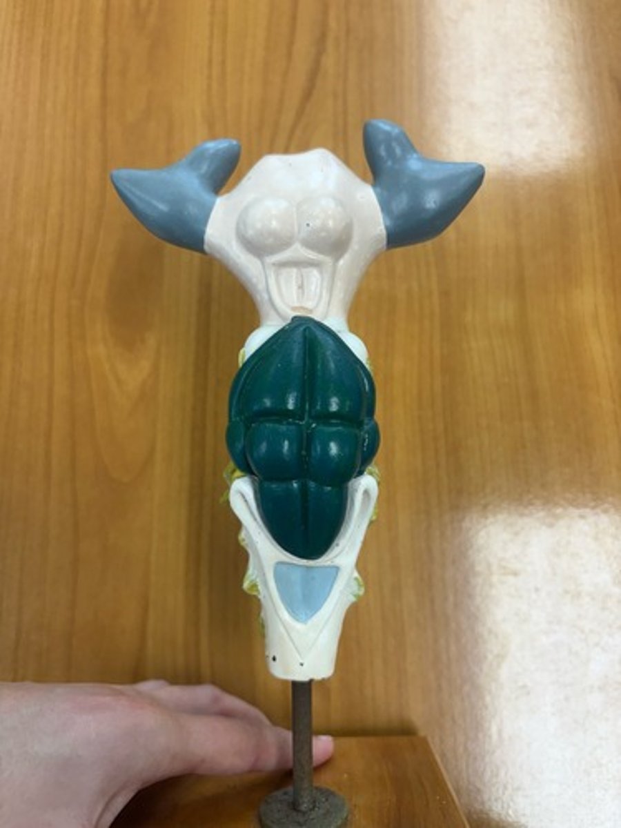 <p>Green structure and animal</p>