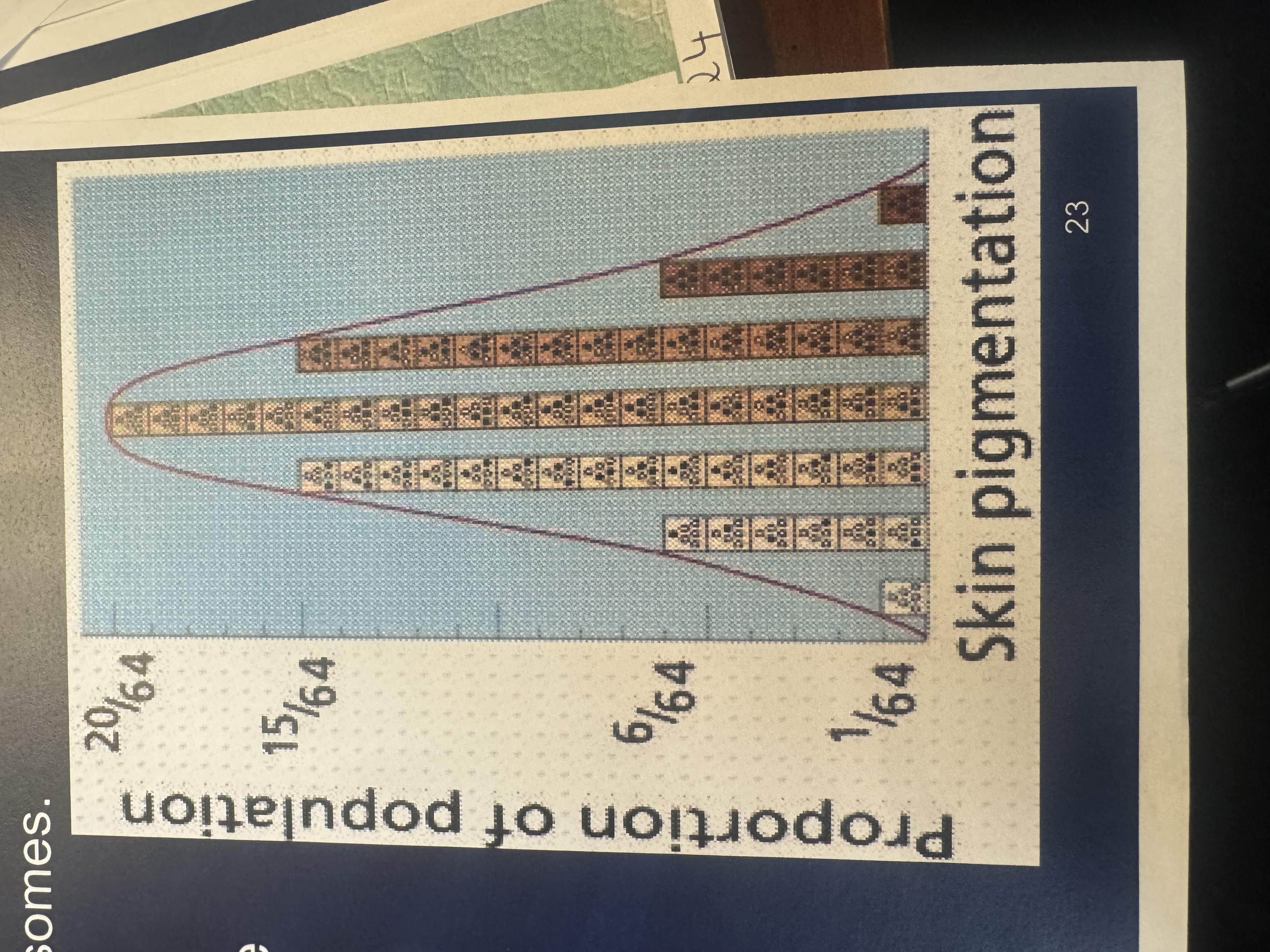 <p><span>What does the bell curve image represent in this slide?</span></p>