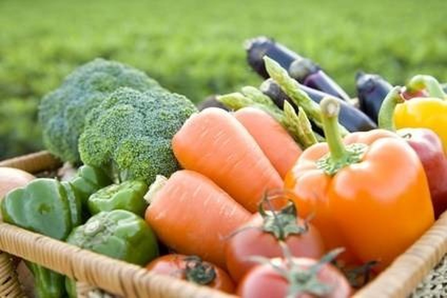 <p>organic products</p>