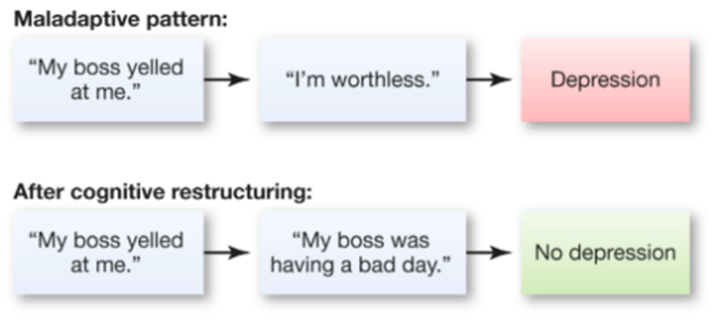 <p>a therapy that helps a patient: identify their negative or irrational beliefs, refute them, and modify them so they are adaptive and reasonable</p>