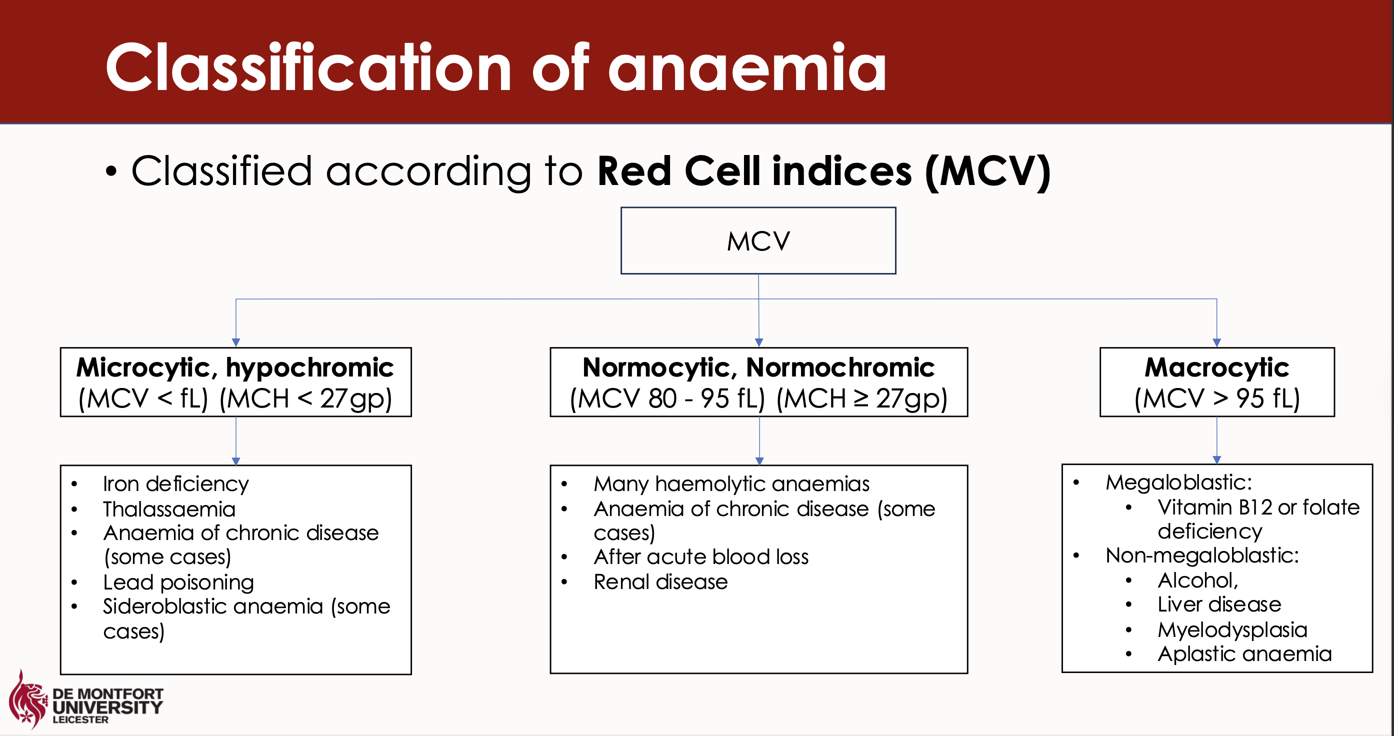 <p>Microcytic anaemia includes iron deficiency anaemia and thalassemia. </p><p>Normocytic anaemia includes aplastic anaemia and anaemia of chronic disease. </p><p>Macrocytic anaemia is primarily associated with vitamin B12 deficiency and folate deficiency. </p>