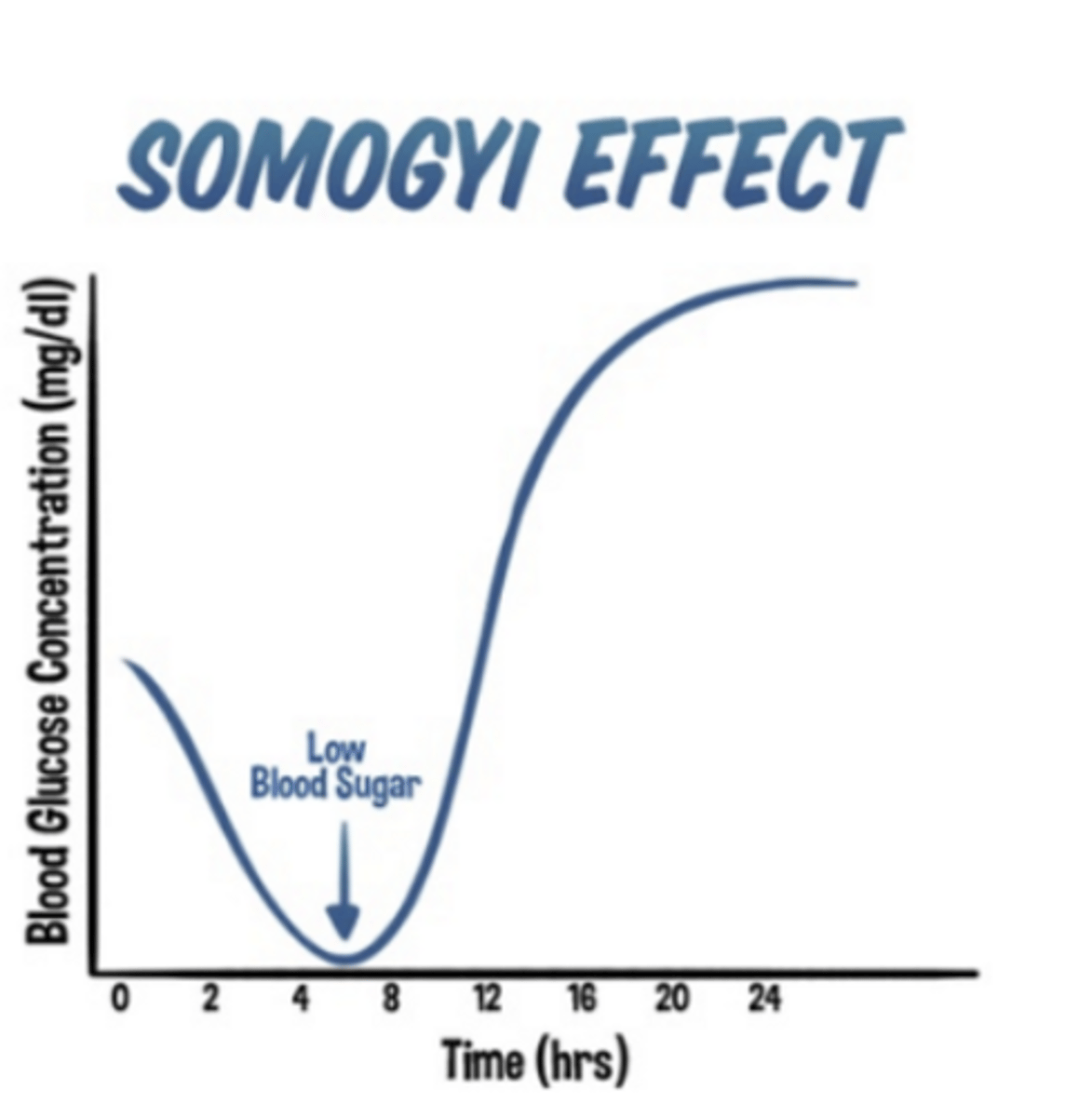 <p>Nocturnal hypoglycemia followed by rebound hyperglycemia in the morning</p>
