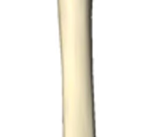 <p>right or left</p>